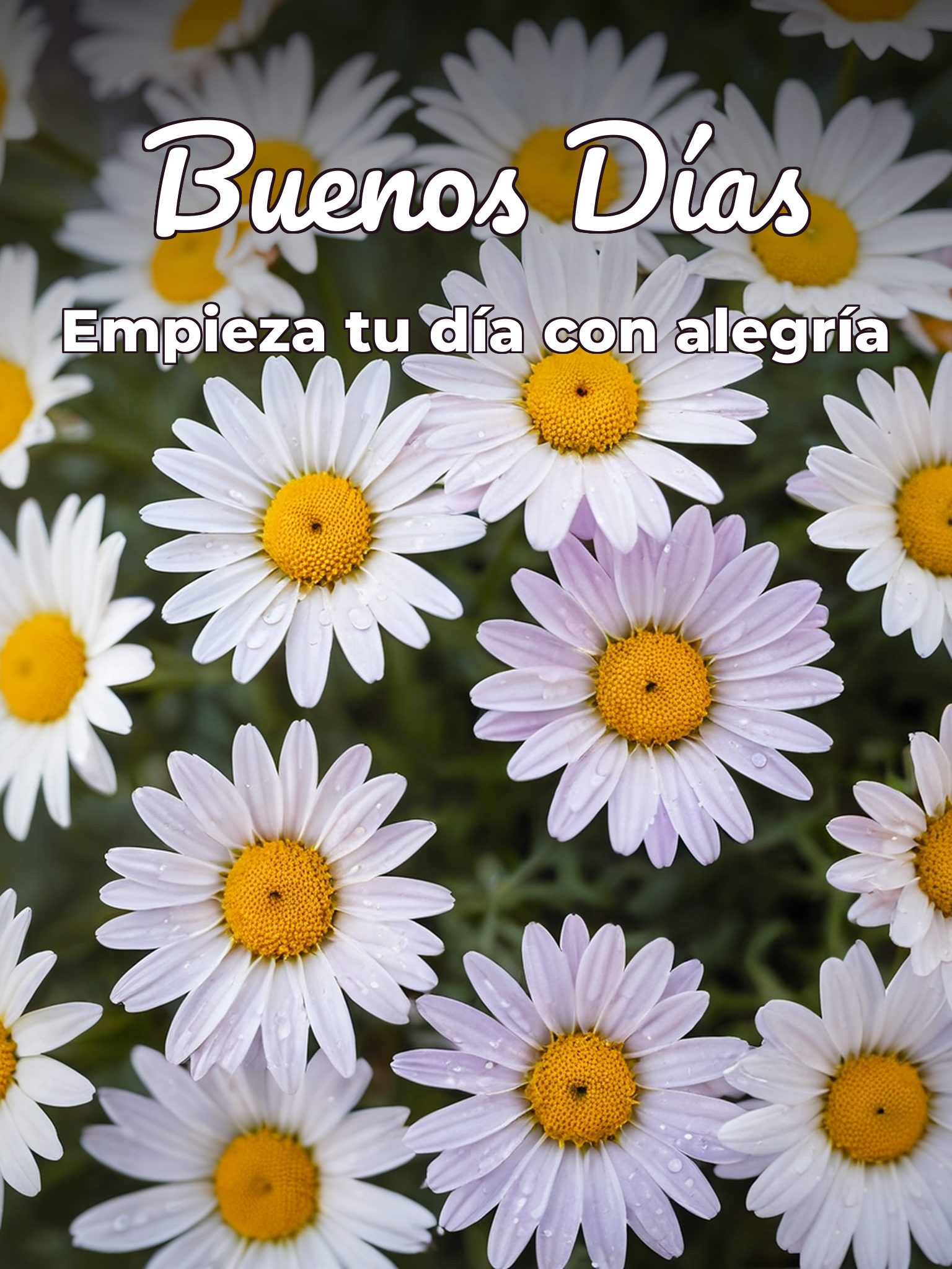 imágenes de buenos días de mujeres para Facebook