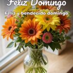 feliz domingo feliz y bendecido domingo