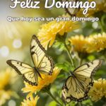 feliz domingo que hoy sea un gran domingo