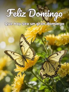 Imágenes de buenos días domingo para celular