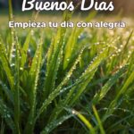 buenos días empieza tu día con alegría