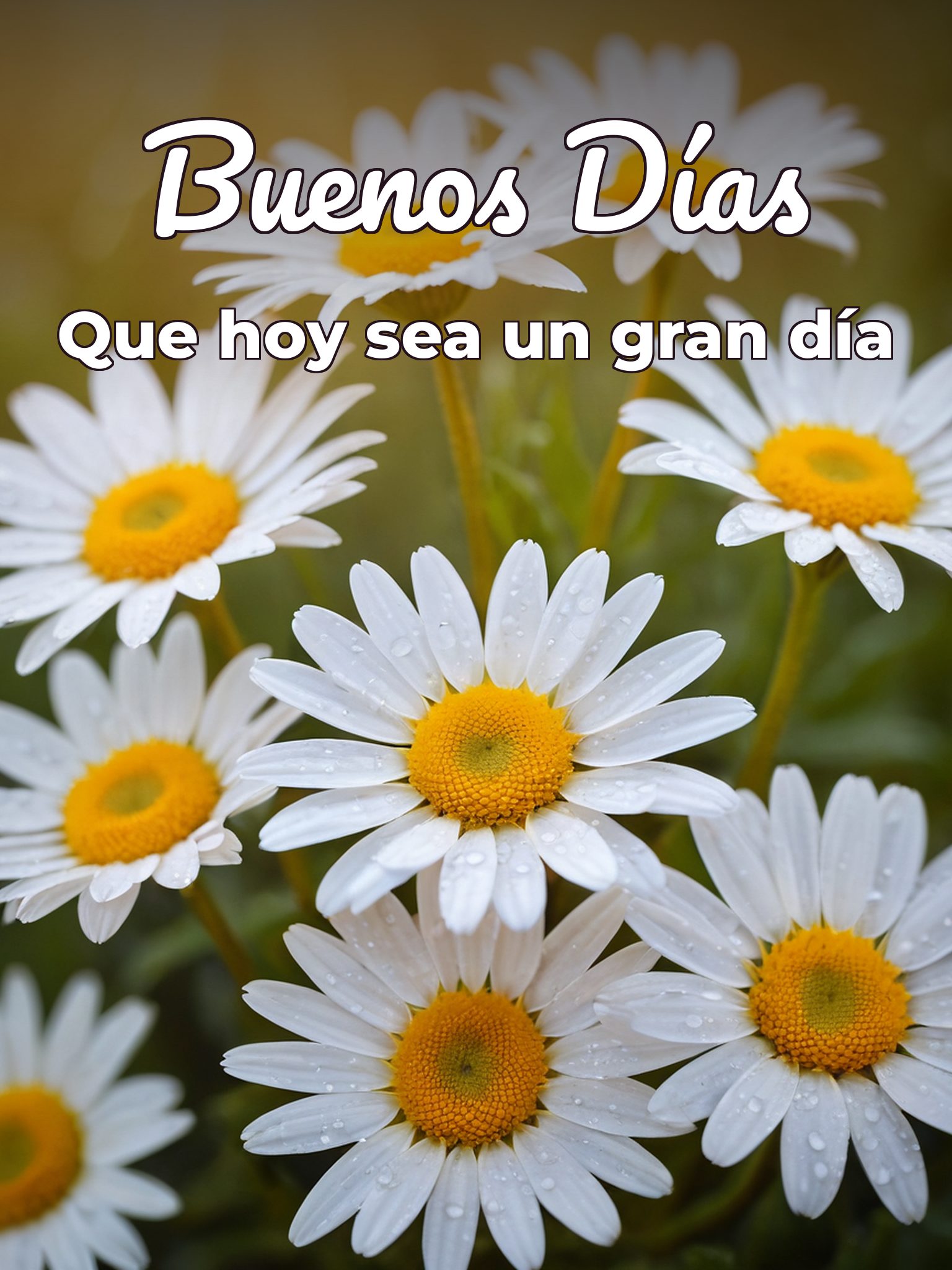 imágenes de buenos días en frances para Facebook