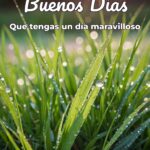 buenos días que tengas un día maravilloso