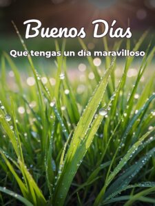 imágenes de buenos días especiales
