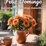 feliz domingo que tengas un domingo maravilloso