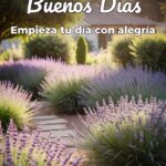 buenos días empieza tu día con alegría