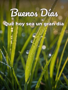 Imágenes de buenos días nuevas para una amiga