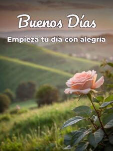 imágenes de buenos días para