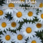 buenos días que tengas un día maravilloso