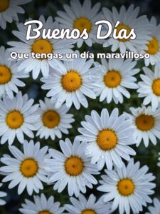 imágenes de buenos días para para Facebook
