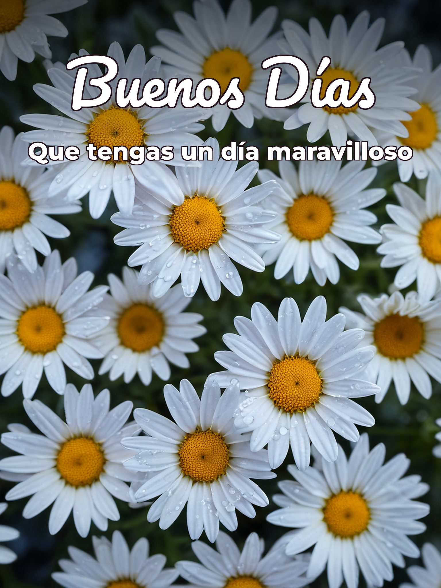 imágenes de buenos días para para Facebook