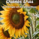 buenos días que tengas un día maravilloso