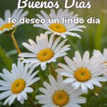 buenos días te deseo un lindo día