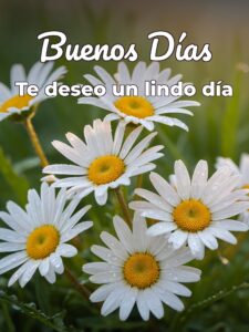 imágenes de buenos días para una mujer hermosa para una amiga