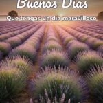 buenos días que tengas un día maravilloso