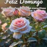 feliz domingo que tengas un domingo maravilloso