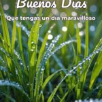buenos días que tengas un día maravilloso