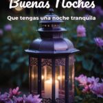 buenas noches que tengas una noche tranquila