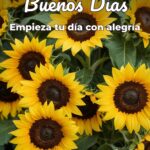 buenos días empieza tu día con alegría