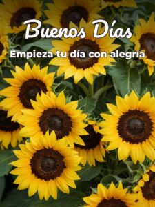 Imágenes de deseos de buenos días para una amiga