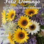 feliz domingo que hoy sea un gran domingo