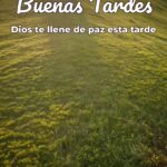 buenas tardes dios te llene de paz esta tarde