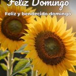 feliz domingo feliz y bendecido domingo