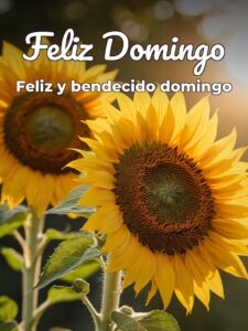 Imágenes de domingo buenos días para celular