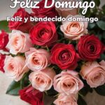 feliz domingo feliz y bendecido domingo