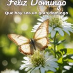 feliz domingo que hoy sea un gran domingo