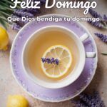 feliz domingo que dios bendiga tu domingo