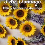 feliz domingo feliz y bendecido domingo