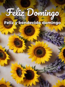 Imágenes de domingo para WhatsApp para celular
