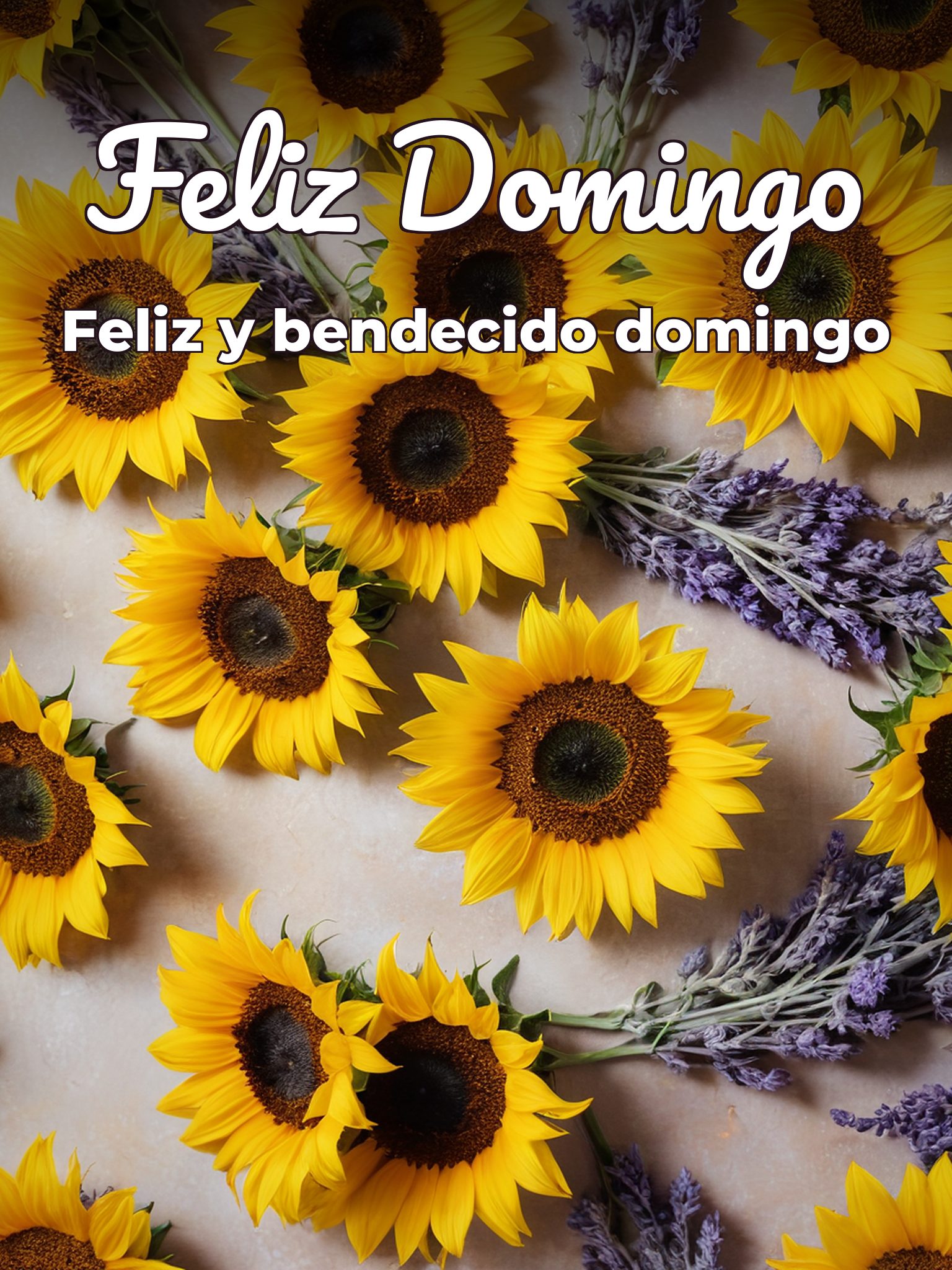 Imágenes de domingo para WhatsApp para celular