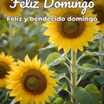 feliz domingo feliz y bendecido domingo