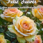 feliz jueves que tengas un jueves maravilloso
