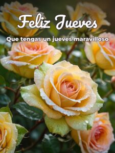 Imágenes de feliz día jueves para celular descargar