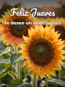 Imágenes de feliz día jueves para Facebook