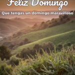 feliz domingo que tengas un domingo maravilloso