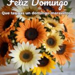 feliz domingo que tengas un domingo maravilloso