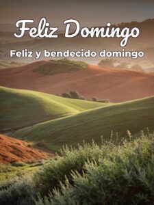 Imágenes de feliz domingo para celular
