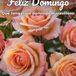feliz domingo que tengas un domingo maravilloso
