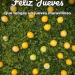 feliz jueves que tengas un jueves maravilloso