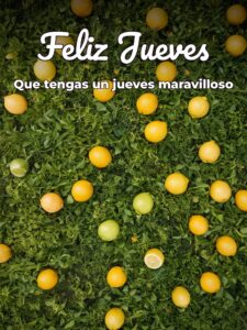 Imágenes de feliz jueves chistosas para celular descargar