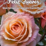 feliz jueves que tengas un jueves maravilloso