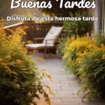 buenas tardes disfruta de esta hermosa tarde