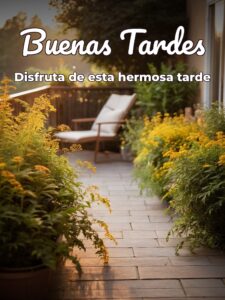Imágenes de feliz tarde de domingo para WhatsApp celular