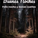 buenas noches feliz noche y dulces sueños