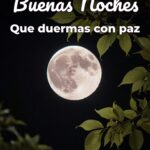 buenas noches que duermas con paz