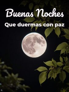 Imágenes de hasta mañana buenas noches para WhatsApp